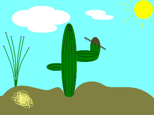 Tucsonan Desert